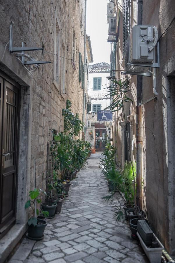 Sasha Di Cattaro - Old Town Lux Apartment Buitenkant foto